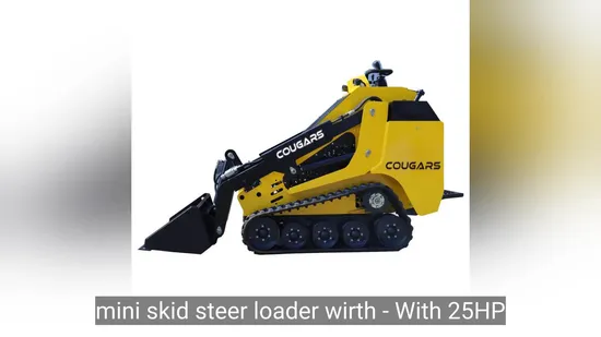 25HP Engine Skid Steer Loader with 36