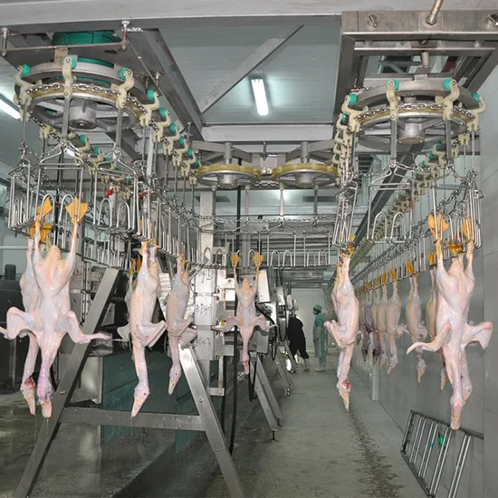 Qingdao Raniche 8000bph Live Birds Chicken Slaughterhouse Poultry Machine New and Used Steel Equipment for Farm Slaughter Line 