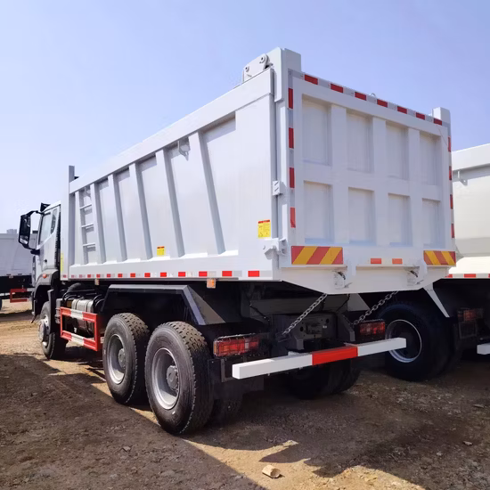 Sinotruk HOWO 6X4 30 Ton 10 Wheels Dump Truck Export to Russia