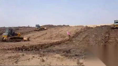 Shantui SD16 Dozers for Earth